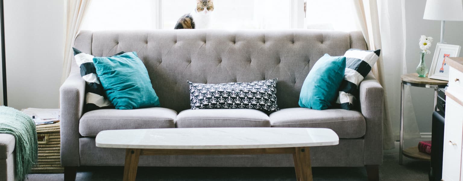 Upholstery Cleaning
